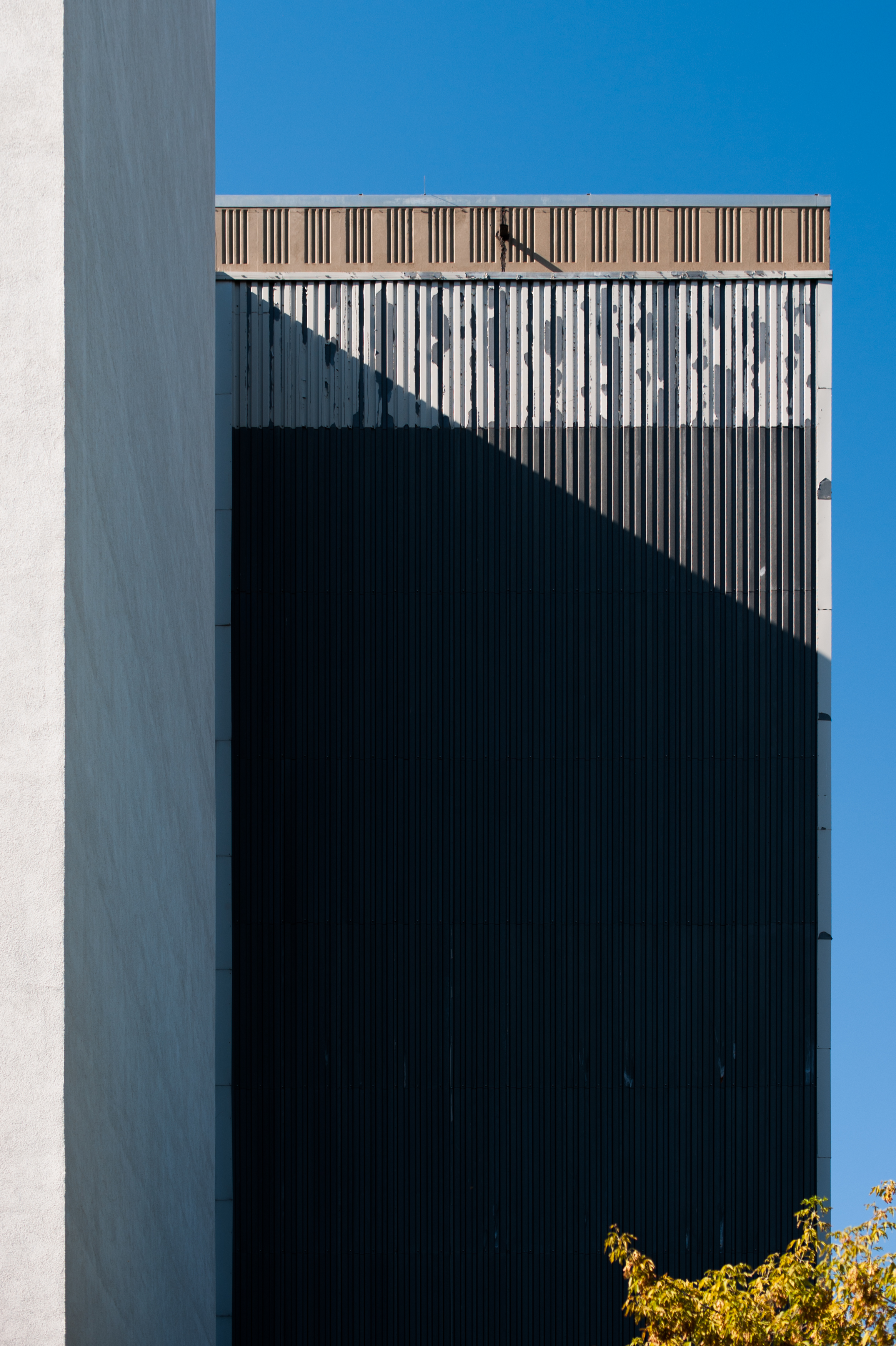 form background image